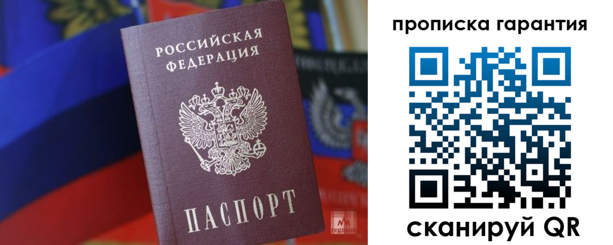 прописка иностранных граждан в Мончегорске