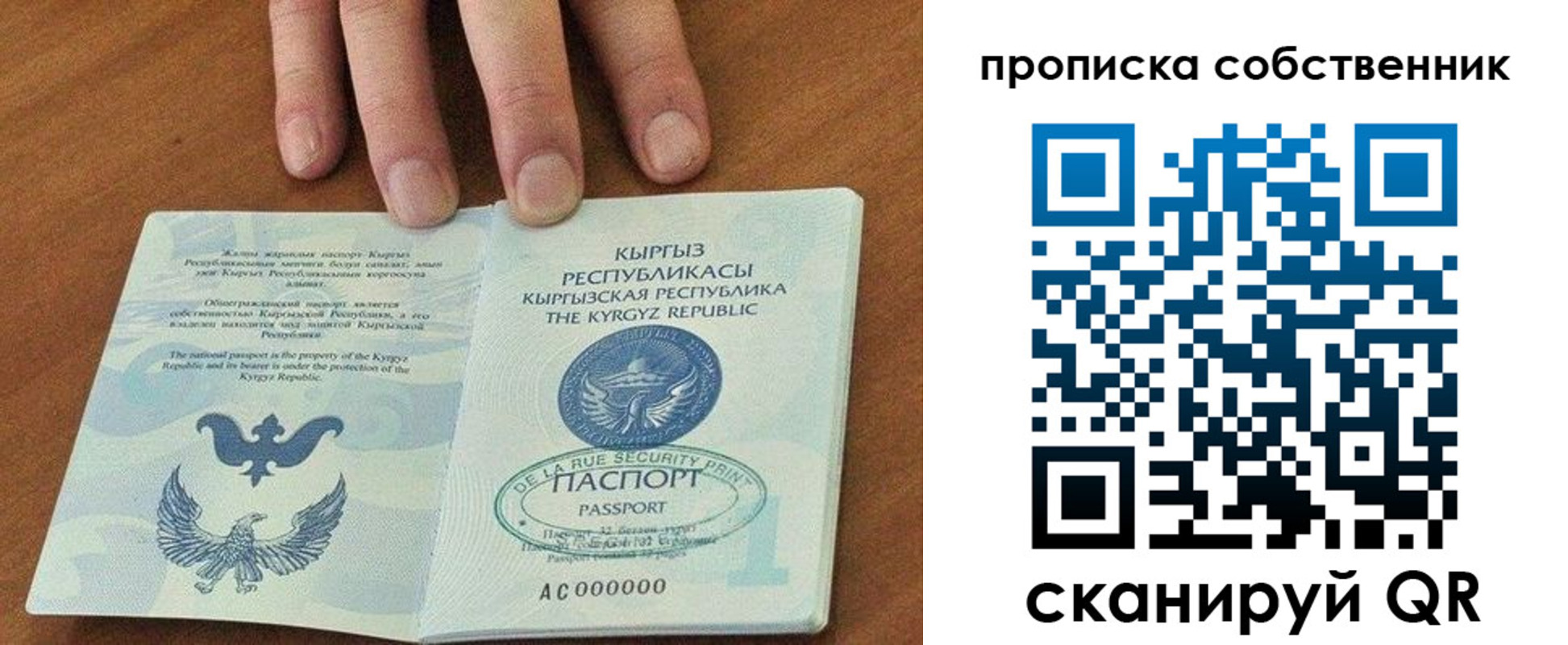 временная регистрация надежно в Мончегорске
